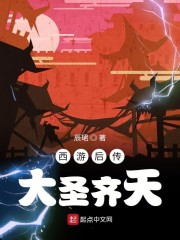 西游后传，大圣齐天章节列表