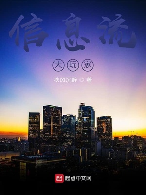 信息流大玩家章节列表