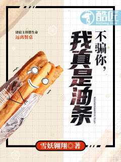 不骗你，我真是油条章节列表