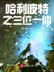 哈利波特之三位一体章节列表
