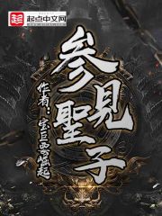 参见圣子章节列表