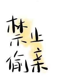 禁止偷亲章节列表