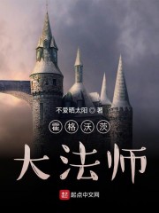 霍格沃茨大法师章节列表