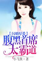 萌妻来袭：首席步步惊婚章节列表
