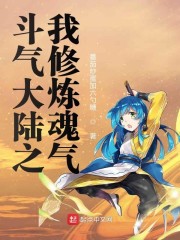 斗气大陆之我修炼魂气章节列表