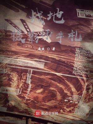 战地摄影师手札章节列表