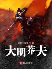 大明莽夫章节列表