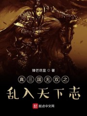 真三国无双之乱入天下志章节列表