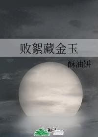 败絮藏金玉章节列表