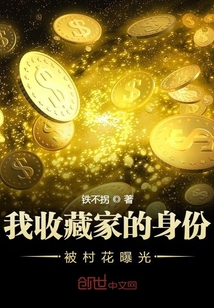 我收藏家的身份被村花曝光章节列表
