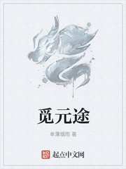 觅元途章节列表