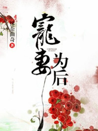 宠妻为后章节列表