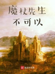 魔杖先生不可以章节列表