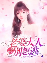 沈蔓歌叶南弦章节列表