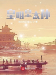 皇明皇太孙章节列表