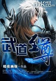 武道至尊章节列表