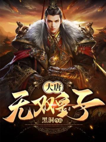 大唐无双皇子章节列表