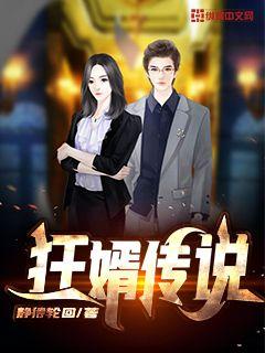 狂婿传说章节列表