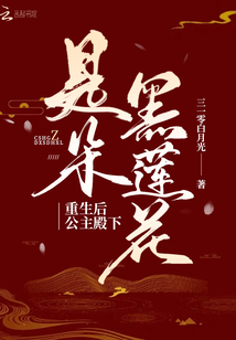 重生后公主殿下是朵黑莲花章节列表