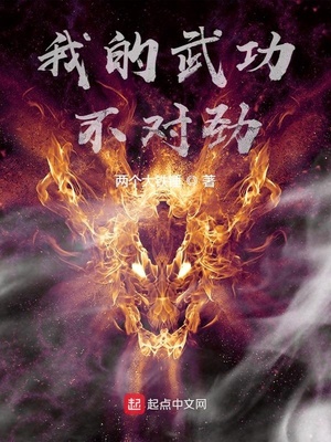 我的武功不对劲章节列表