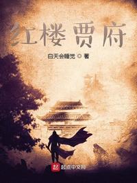 红楼贾府章节列表