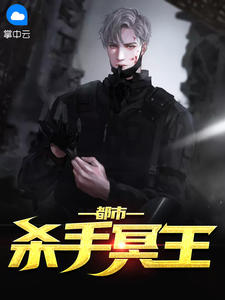 都市杀手冥王章节列表