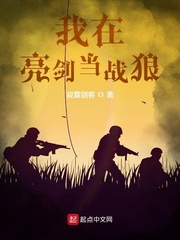 战狼王野章节列表