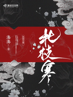 北枝寒章节列表