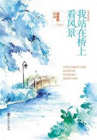 我站在桥上看风景章节列表