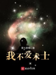 我不爱术士章节列表