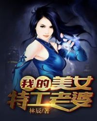 我的美女特工老婆章节列表