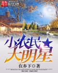 小农民大明星章节列表