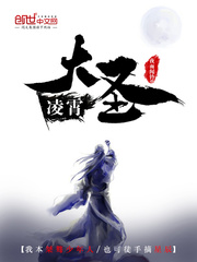 凌霄大圣章节列表