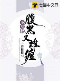小皇叔腹黑又难缠章节列表