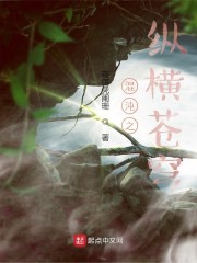 混沌之纵横苍穹章节列表