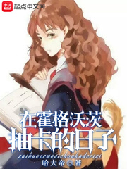 在霍格沃茨抽卡的日子章节列表