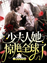 少夫人她惊艳全球了章节列表