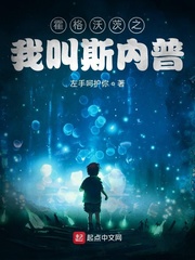 霍格沃茨之我叫斯内普章节列表
