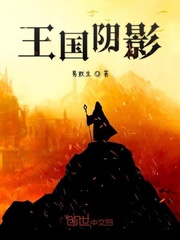 王国阴影章节列表