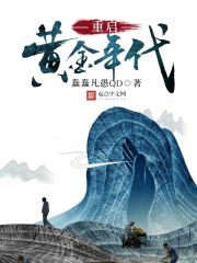 重启黄金年代章节列表