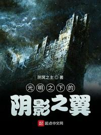 光明之下的阴影之翼章节列表