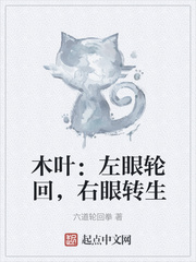 木叶：左眼轮回，右眼转生章节列表