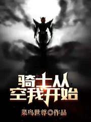 骑士从空我开始章节列表