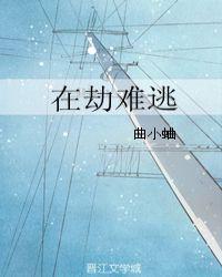 在劫难逃章节列表