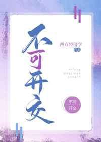 不可开交章节列表