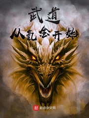 武道从氪金开始章节列表