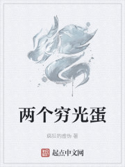两个穷光蛋章节列表