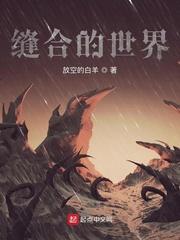 缝合的世界章节列表
