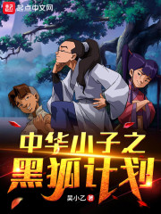 中华小子之黑狐计划章节列表