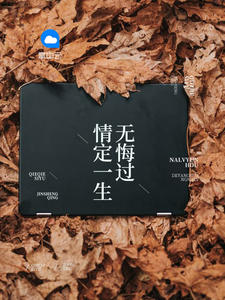 情定一生无悔过沈蔓歌叶南弦章节列表